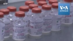 Lancement en Algérie de la production locale du vaccin chinois Coronavac