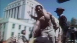 Black Panthers - Part 2