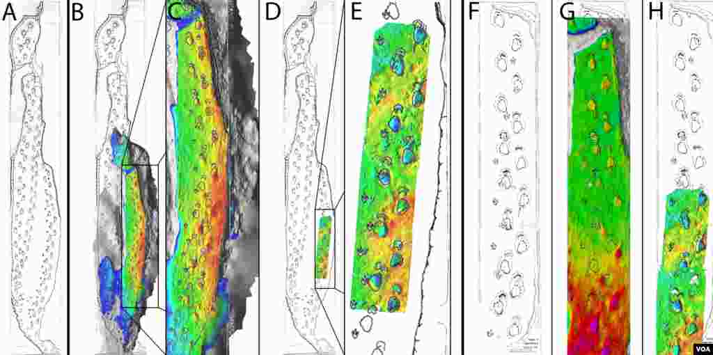 Perbandingan antara gambar asli Bird dan rekonstruksi digital. (PLOS ONE, Falkingham, et.al.)