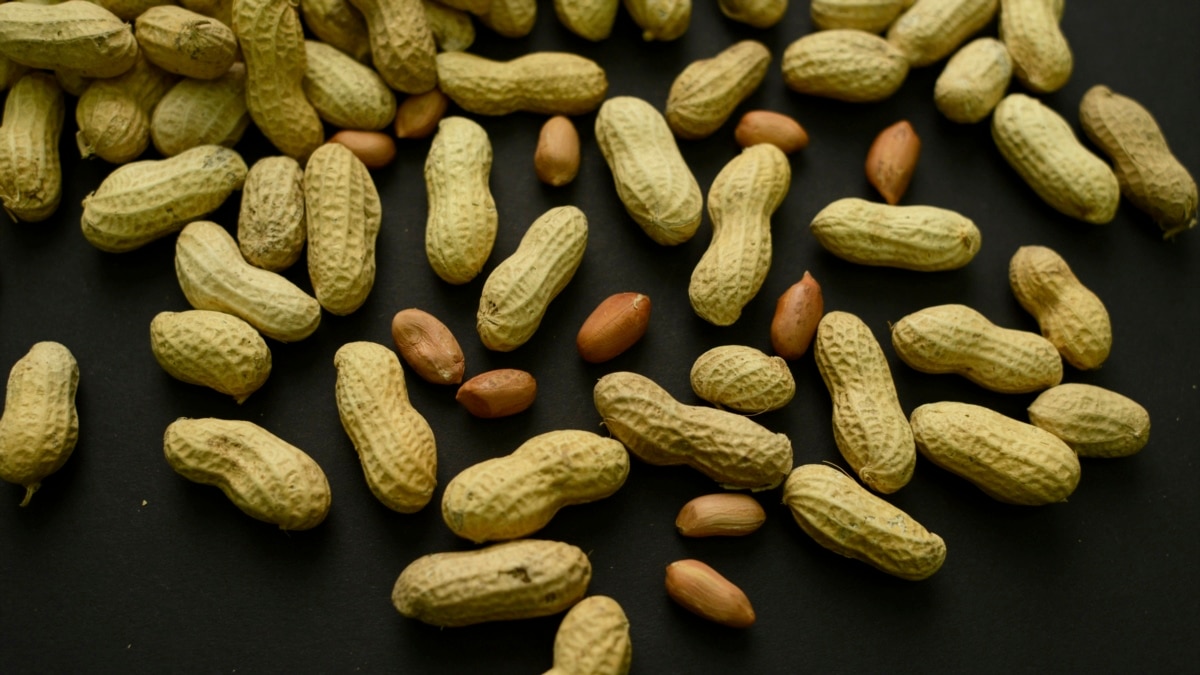 Study: Skin Treatment Might Reduce Severe Reactions to Peanuts - VOA Learning English