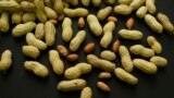 FILE - This February 20, 2015 photo shows an arrangement of peanuts in New York. (AP Photo/Patrick Sison, File)