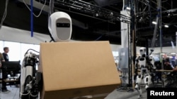 FILE - A view of Apollo, the humanoid robot built by Apptronik, Inc. carries a package at Austin, Texas, October 25, 2023.