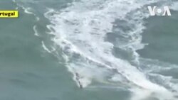 ԱՌԱՆՑ ՄԵԿՆԱԲԱՆՈՒԹՅԱՆ. Սերֆերների մրցույթ Պորտուգալիայում