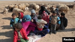 Internally displaced Syrians who fled Raqqa rest near a flock of sheep in the northern Raqqa province, Feb. 6, 2017.