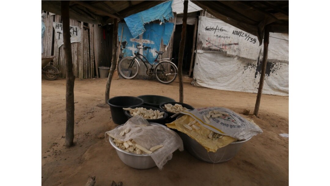 The Ampain Refugee Camp, shown on Oct. 28, 2020, is home to about 3,000 Ivorian refugees. (Stacey Knott/VOA)