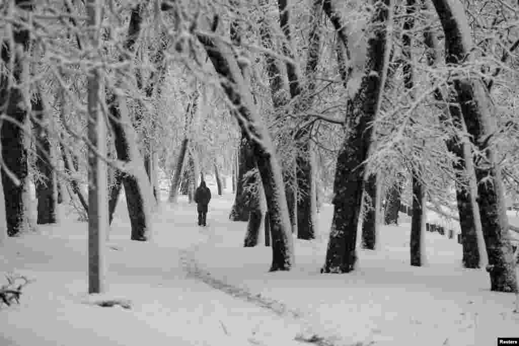 Seorang pria berjalan melalui Hutan Kosutnjak yang tertutup salju selama hujan salju lebat di ibu kota Beograd, Serbia. (Reuters)&nbsp;