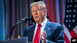 ARCHIVO - El presidente electo Donald Trump habla durante una reunión con la conferencia republicana de la Cámara de Representantes, el 13 de noviembre de 2024, en Washington. (Allison Robbert/Pool vía AP)