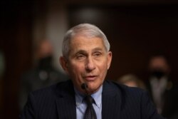 FILE - Dr. Anthony Fauci, Director of the National Institute of Allergy and Infectious Diseases at the National Institutes of Health, speaks during a Senate hearing on COVID-19, on Capitol Hill, in Washington, Sept. 23, 2020.