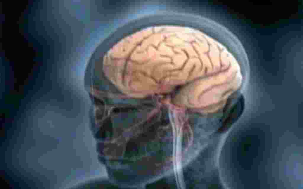جمعه بیست و یکم ژانویه - هفته ای که گذشت به روایت تصویر