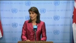 اخبار شامگاهی