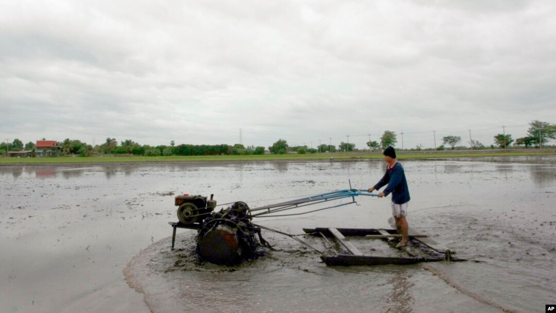 A Thai farmer plows his rice field in Ayutthaya province, central Thailand, June 21, 2013. 