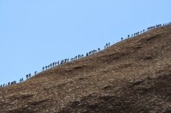 Tourists climb Uluru, formerly known as Ayers Rock, at Uluru-Kata Tjuta National Park in the Northern Territory, Australia, Oct. 25, 2019.