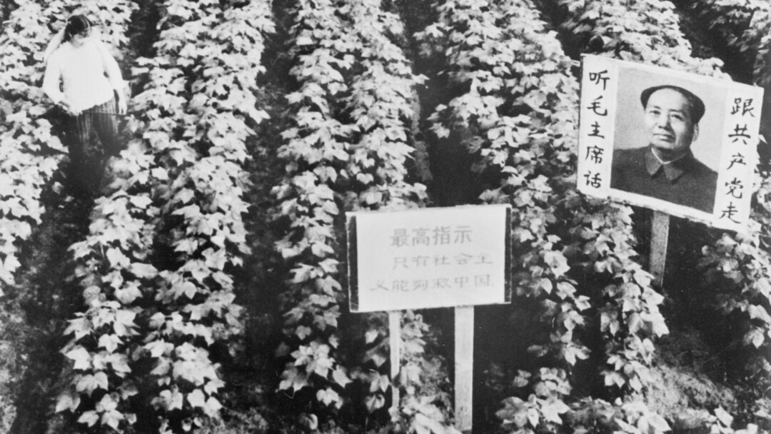 政治的正義(財産論) (1973年)