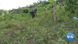 Cameroonian Startup Creates Soil Analysis Kit for Farming Efficiency 