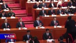 焦点对话: 曾遭国安殴打 博明演说呼吁中国人"站起来"？