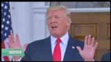 美国观察 2017年8月11日