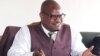 Information Secretary Nick Mangwana