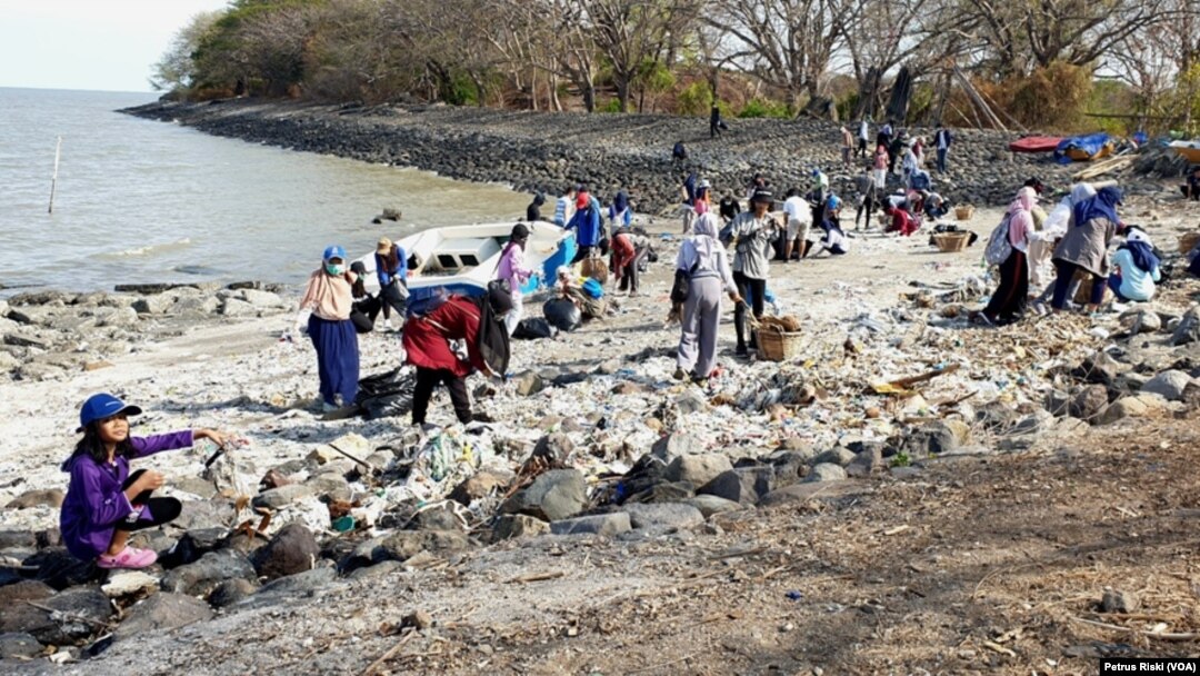 Sekitar 100 orang muda-mudi yang tergabung dalam "Global Peace Youth" Surabaya, melakukan aksi bersih pantai Kenjeran Surabaya yang banyak terdapat sampah plastik (Foto:VOA/Petrus Riski).