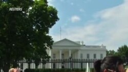 Орланы, волки и другие звери: исчезающие животные в США