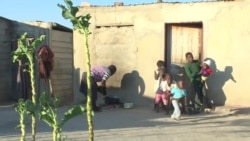 Zimbabwe’s Food Situation Moving Toward Emergency, Says UN