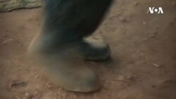 My Childhood My Country 20 Years in Afghanistan -- USAGM