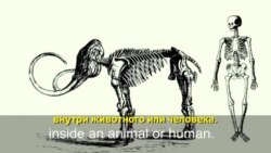 Английский за минуту - Skeleton Crew - Дежурная бригада