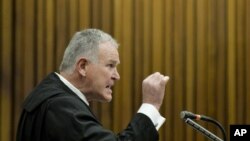 Chief defense lawyer for Oscar Pistorius, Barry Roux, addresses the court, in Pretoria, South Africa, Aug. 8, 2014.