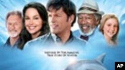 หนังชีวิตจริงของโลมาหางเทียม Dolphin Tale ชิงตำแหน่งแชมป์จากอดีตเจ้าป่า The Lion King