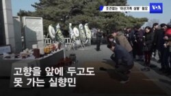 이산가족 설 합동차례 "자유 상봉 실현돼야"