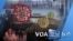 [VOA 모닝 뉴스] 2020년 2월 8일