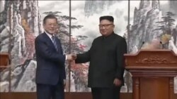 اخبار شامگاهی