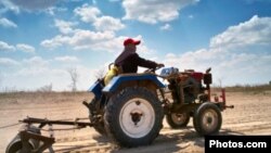 Hurumende inonzi haisi kubatsira varimi vemunyika zvakanyanya izvo zvinonzi zviri kuita kuti goho ridzikire