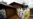 Latest Ebola Outbreak in Western DRC Eclipses 2018