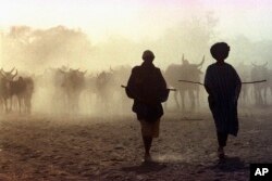 FILE - Tuareg clansmen are silhouetted as they herd cattle in the land between Koygma and Timbuktu, in northern Mali, March 1997.