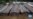 For Myanmar's Refugees, Hunger is Bigger Concern Than COVID-19