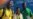 Ghanaians' Olympic Dreams Realized Through US Studies, Training