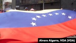 La crisis venezolana y sus consecuencias fue analizada en una subcomisión del Congreso estadounidense con expertos que evaluaron la situación y sugirieron las futuras políticas que podría tomar Washington para ayudar a la nación.