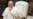Pope Francis calls situation in Gaza 'shameful'