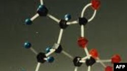 Shkencëtarët zbulojnë proteinën që është jetike për parazitin e malaries