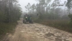 A Buggy Ride Through Big Cypress National Preserve