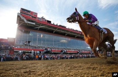 The 2014 Preakness Stakes