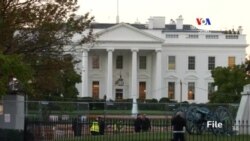 Փհենյանի հետ բանակցելու հարցում Թիլերսոնի ու Թրամփի դիրքորոշումները տարբերվում են