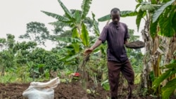 Malawi’s agriculture minister urges investment in organic fertilizer