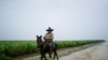 ARCHIVO - Un campesino monta a caballo junto a un campo de caña de azúcar durante el paso de la tormenta subtropical Alberto en Las Mangas, Cuba, el 26 de mayo de 2018. Fotografía tomada el 26 de mayo de 2018. REUTERS/Alexandre Meneghini.