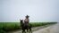ARCHIVO - Un campesino monta a caballo junto a un campo de caña de azúcar durante el paso de la tormenta subtropical Alberto en Las Mangas, Cuba, el 26 de mayo de 2018. Fotografía tomada el 26 de mayo de 2018. REUTERS/Alexandre Meneghini.