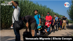 Adultos jóvenes componen la mayoría de los grupos de venezolanos que cruzan ilegalmente hacia EE. UU. a través de Del Río, Texas.