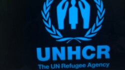 UNHCR Baqattootaa fi Kanneen Qe’ee Irraa Buqqa’an Gargaaruuf Doolaara Miliyooa Dhibba Afur Ol Gargaarsa Gaafate