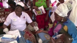 Global Progress Against Malaria at Risk as Funding Stalls