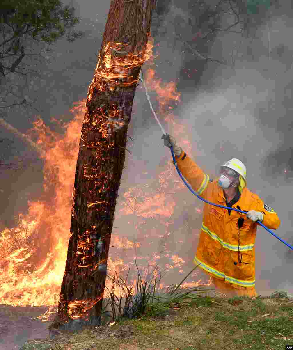 Petugas pemadam kebakaran berusaha memadamkan kebakaran dari halaman belakang rumah warga di Faulconbridge, Blue Mountains, Australia.