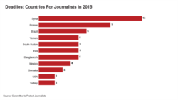 2015፡ ብብዝሒ ጋዜጠኛታት አብ ስራሕ ከለው ዝተቐትሉላ ዓመት ተባሂላ